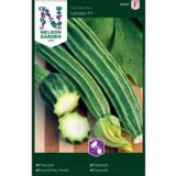 Kesäkurpitsa, 'Latino' F1