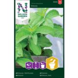 Stevia