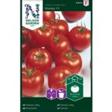 Tomaatti, 'Shirley' F1