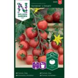 Kirsikkatomaatti, 'Gardener's Delight'