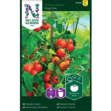 Kirsikkatomaatti, 'Tiny Tim'