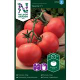 Kasvihuonetomaatti, 'Sparta' F1