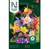 Jaloakileija, 'McKana Giants'