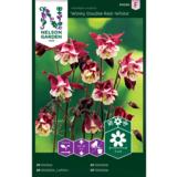 Lehtoakileija, 'Winky Red-White'