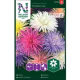 Kiinanasteri, Prinette, väriseos