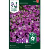 Tarharistikki, 'Red Cascade'