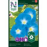 Päivänsini, 'Heavenly Blue'