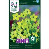 Koristetupakka, 'Lime Green'