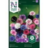 Ruiskaunokki, väriseos