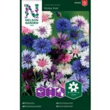 Ruiskaunokki, 'Polka Dot'