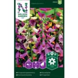 Sormustinkukka, väriseos