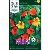 Pensasköynnöskrassi, TomThumb, väriseos