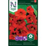 Pensasköynnös, 'Whirlybird Mahogny'