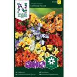 Kirjokohtalonkukka, Carnival Mix