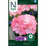 Pelargoni, 'Inspire Pink' F1