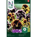 Tarhaorvokki, 'Rococo', väriseos