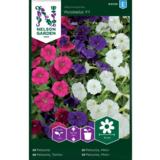 Mätästarhapetunia, Fantasy Mix