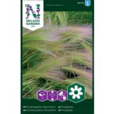 Koristeruoho, partaohra