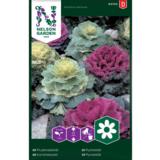 Koristekaali, väriseos