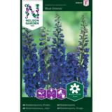 Jaloritarinkannus, 'Blue Donna'