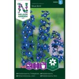 Jaloritarinkannus, 'Blue Bird'