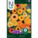 Tarhakehäkukka, väriseos