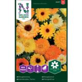 Tarhakehäkukka, väriseos, suurpussi