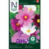 Punakosmoskukka, Vega Mixture