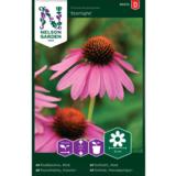 Kaunopunahattu, 'Starlight'