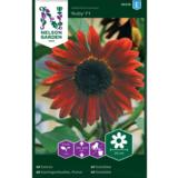 Puna-auringonkukka, 'Ruby' F1