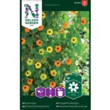 Mustasilmäsusanna, väriseos