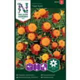 Ryhmäsamettikukka, 'Tiger eyes'