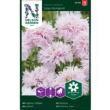 Unikko, 'Lilac Pompom'