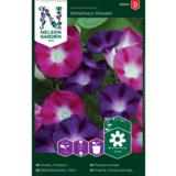 Aitoelämänlanka, 'Bohemian Shades' HR4