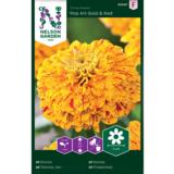 Isotsinnia, 'Pop Art Gold & Red'