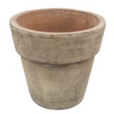 Ulkoruukku Cadiz eri kokoja