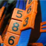 Numerosarja 10 kpl, DeLaval