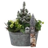 Jouluistutus peltiastiassa