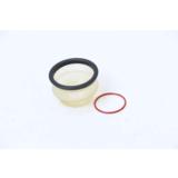 Raidetangonpään suojakumi, AL113460