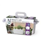 Harvy3 lahjapakkaus 3 osaa, Nelson