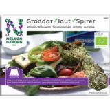 Idut sinimailanen, luomu Nelson