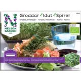 Idut vihanneskrassi luomu Nelson