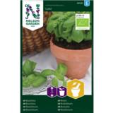 Maustebasilika, 'Loki', Luomu