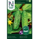 Avomaankurkku, 'Vert petit de Paris'