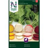 Punajuuri, Hullahoop Mix