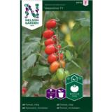 Kirsikkatomaatti, 'Vespolino' F1