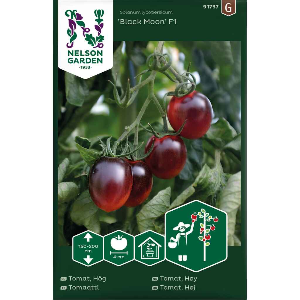 Tomaatti 'Black Moon' F1