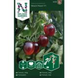 Kirsikkatomaatti, 'Black Moon' F1