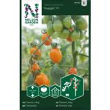 Kirsikkatomaatti, 'Nugget' F1