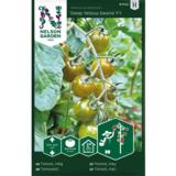 Kirsikkatomaatti, 'Deep Yellow Desire' F1